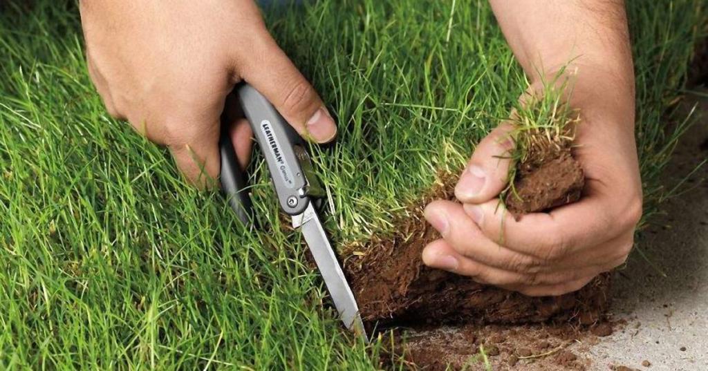 Распродажа земель под коттеджи пройдет в Барнауле Распродажа земель под коттеджи пройдет в Барнауле