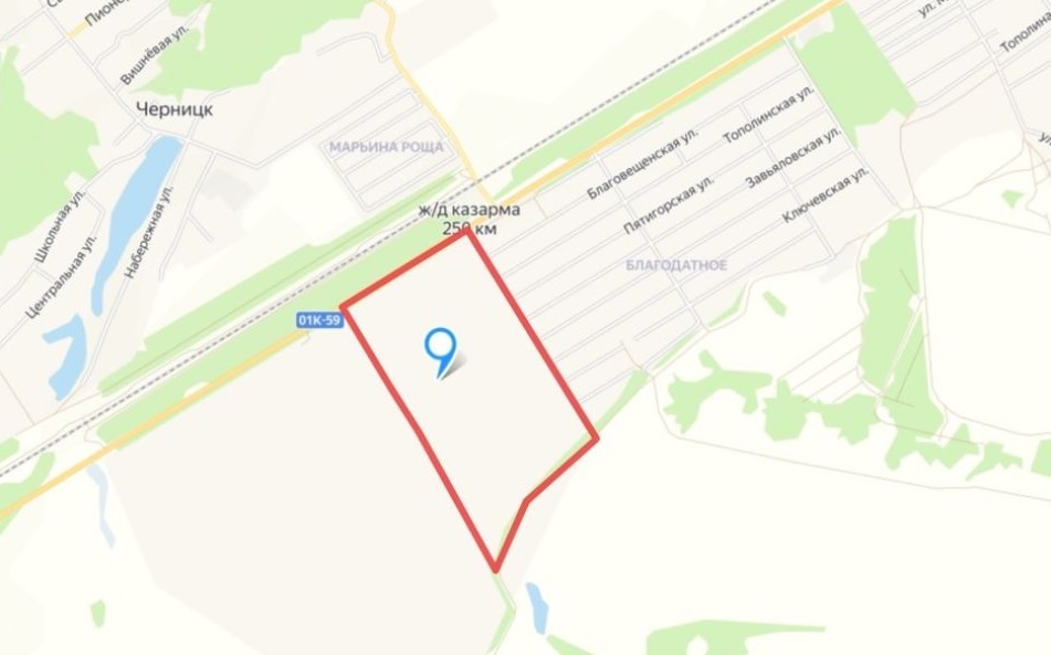 Рядом с кладбищем в Барнауле запланировали коттеджный поселок с 500 домами