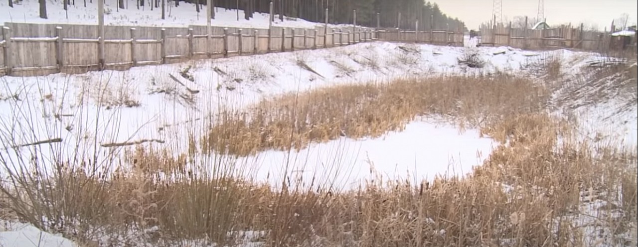 В барнаульском садоводстве массово развернули банный бизнес и продали водоем
