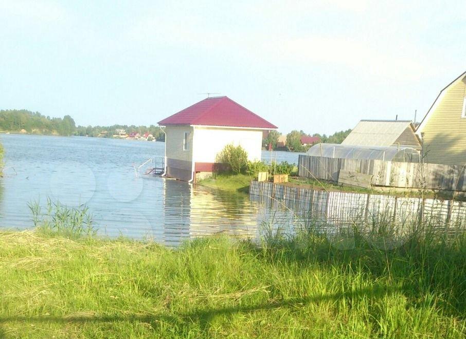 Усадьбу с домом на воде выставили на продажу в Алтайском крае Усадьбу с домом на воде выставили на продажу в Алтайском крае